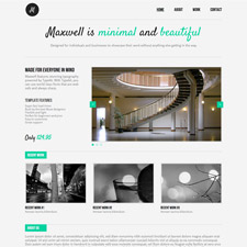 potfolio, muse-themes.com, website, theme, pixl, jeremy goldberg